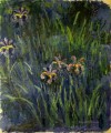 Iris II Claude Monet Impresionismo Flores